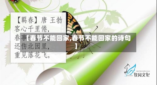 【春节不能回家,春节不能回家的诗句】-第2张图片