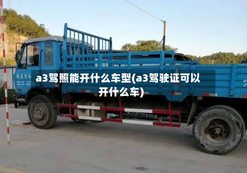 a3驾照能开什么车型(a3驾驶证可以开什么车)