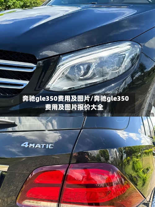 奔驰gle350费用及图片/奔驰gle350费用及图片报价大全-第3张图片