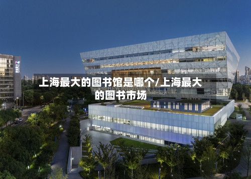 上海最大的图书馆是哪个/上海最大的图书市场