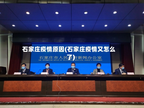 石家庄疫情原因(石家庄疫情又怎么了)-第2张图片