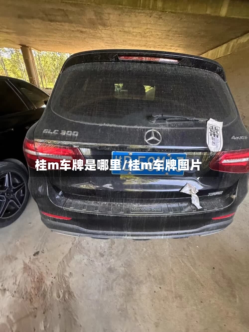 桂m车牌是哪里/桂m车牌图片
