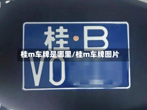 桂m车牌是哪里/桂m车牌图片-第2张图片