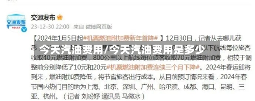 今天汽油费用/今天汽油费用是多少-第3张图片