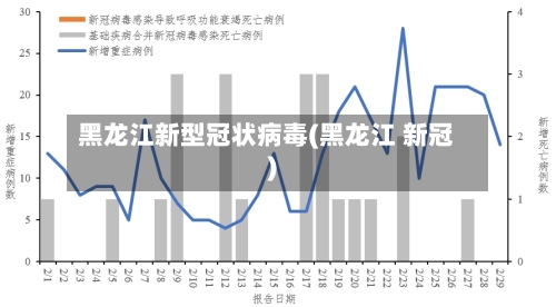 黑龙江新型冠状病毒(黑龙江 新冠)