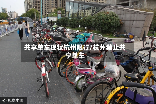 共享单车现状杭州限行/杭州禁止共享单车-第2张图片