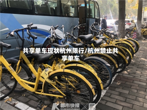 共享单车现状杭州限行/杭州禁止共享单车