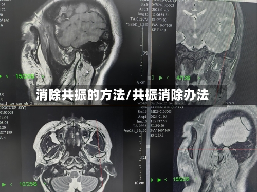 消除共振的方法/共振消除办法