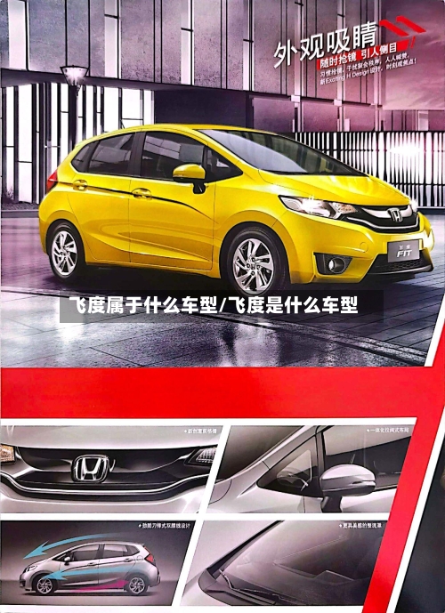 飞度属于什么车型/飞度是什么车型