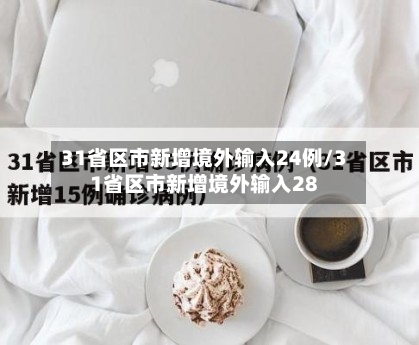 31省区市新增境外输入24例/31省区市新增境外输入28-第2张图片