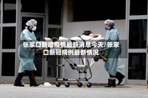 张家口新增疫情最新消息今天/张家口新冠病例最新情况-第3张图片