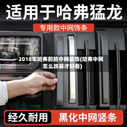 2018年哈弗前脸中网装饰(哈弗中网怎么改装才好看)