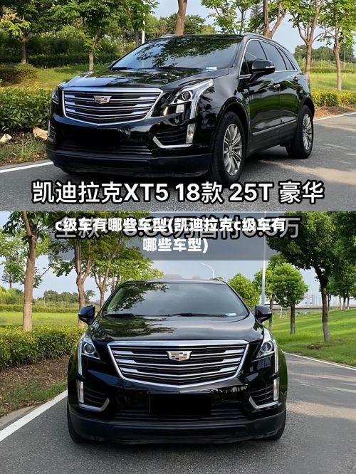c级车有哪些车型(凯迪拉克c级车有哪些车型)