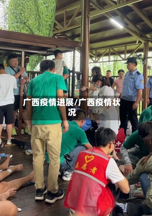 广西疫情进展/广西疫情状况