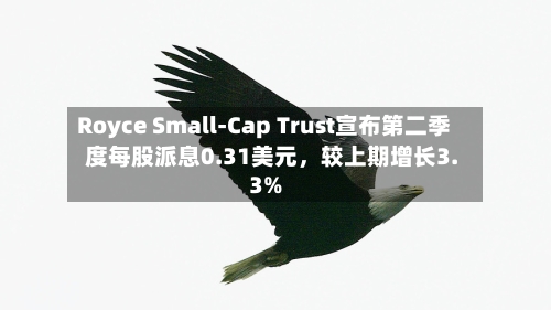 Royce Small-Cap Trust宣布第二季度每股派息0.31美元，较上期增长3.3%-第2张图片