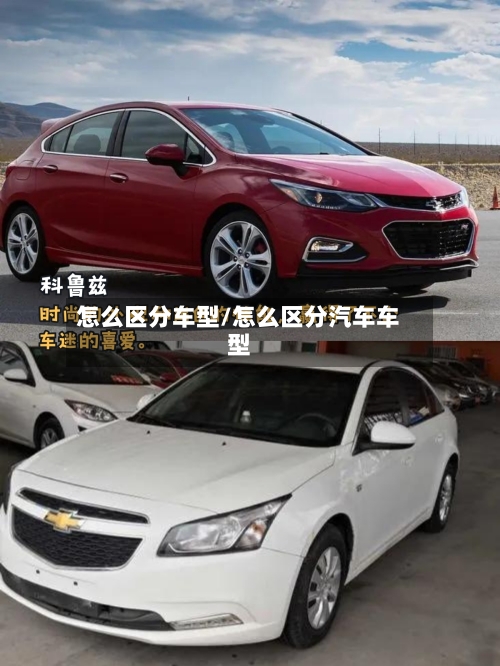 怎么区分车型/怎么区分汽车车型