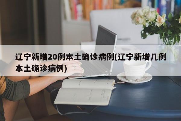 辽宁新增20例本土确诊病例(辽宁新增几例本土确诊病例)