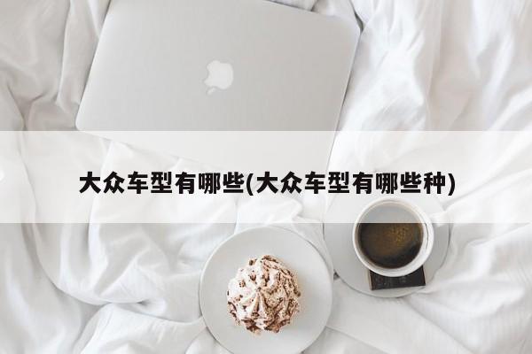 大众车型有哪些(大众车型有哪些种)