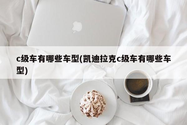 c级车有哪些车型(凯迪拉克c级车有哪些车型)