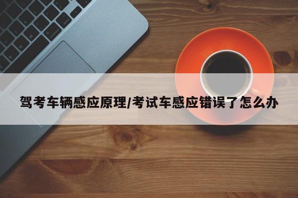 驾考车辆感应原理/考试车感应错误了怎么办